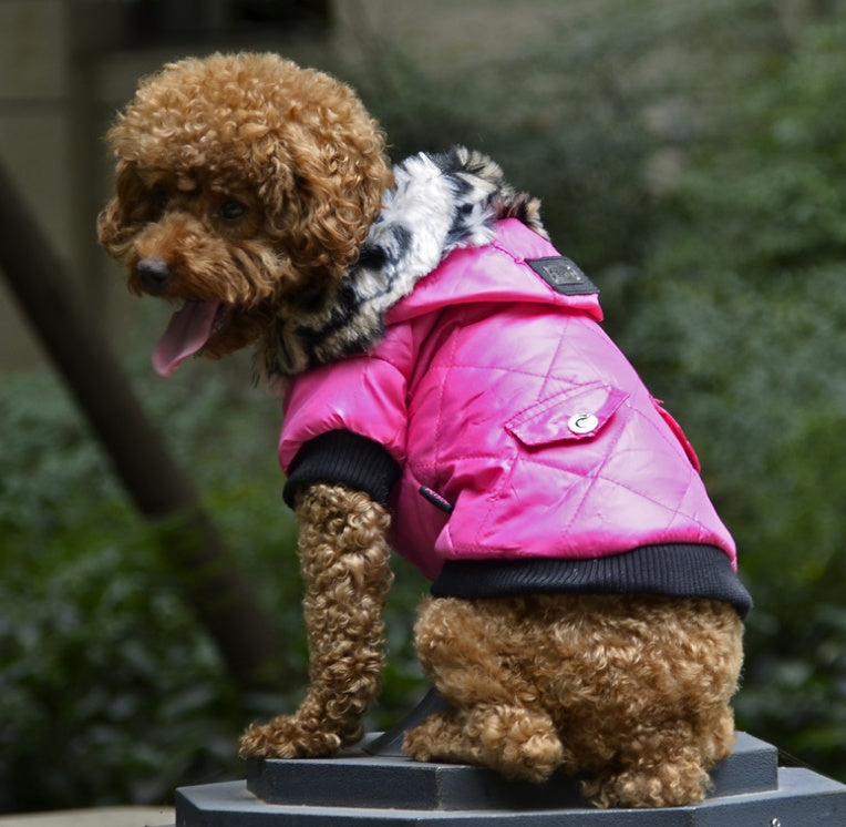 Warm Hooded Fashionable Dog Coat