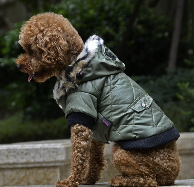 Warm Hooded Fashionable Dog Coat
