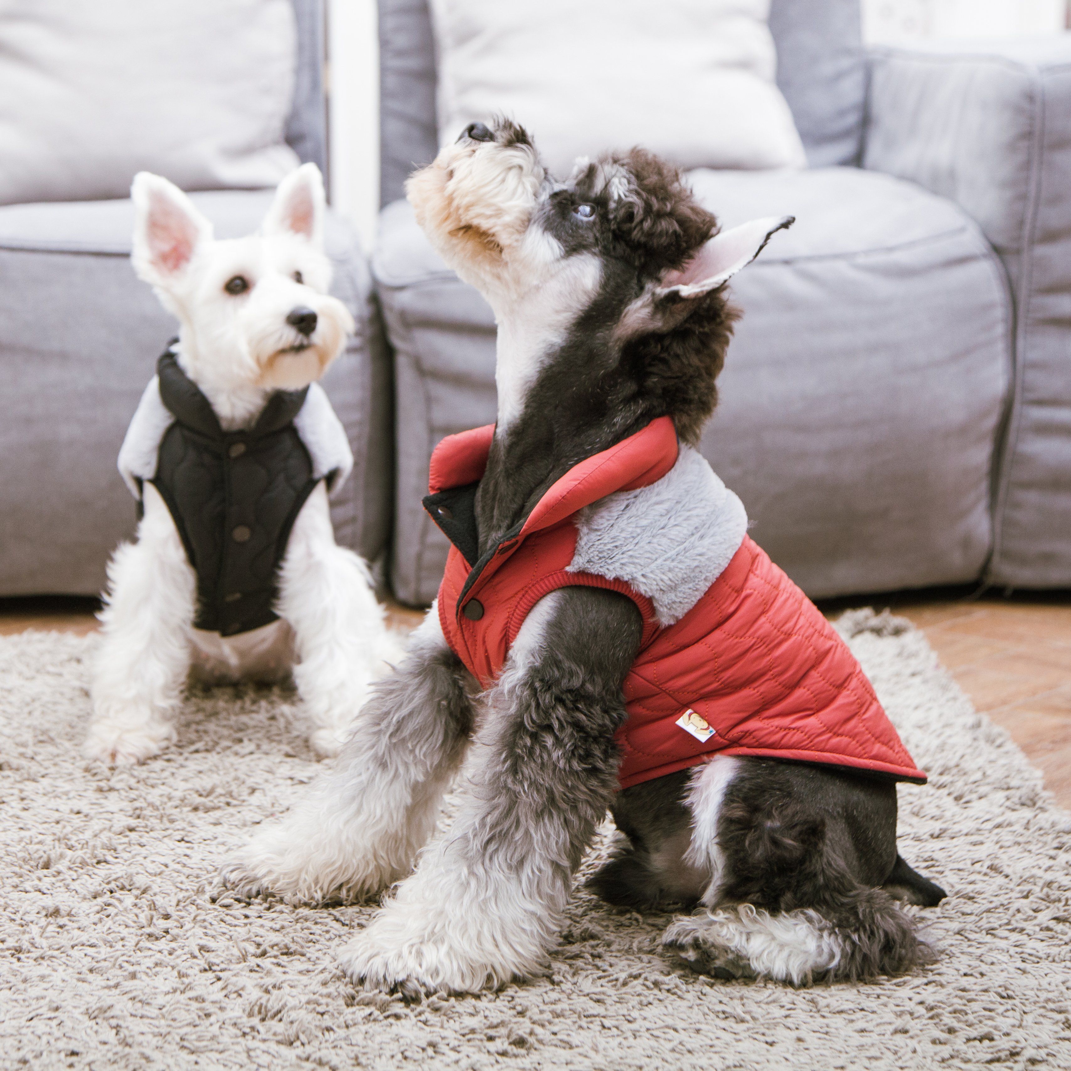 Touchdog 'Furrost-Bite' Fur and Fleece Designer Fashion Dog Jacket